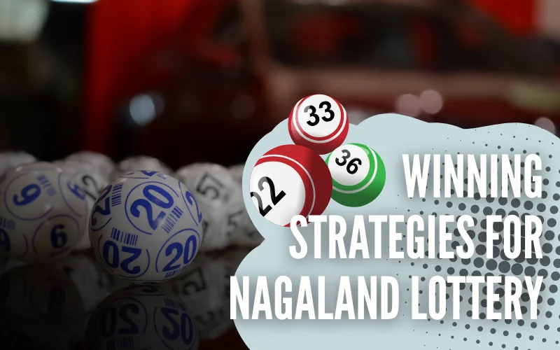nagaland lottery live winning strategies