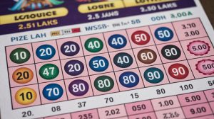 w741 lottery result